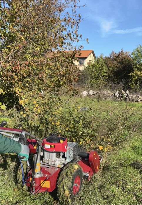 Почистване на дворове, парцели, овощни градини, солари с мулчер