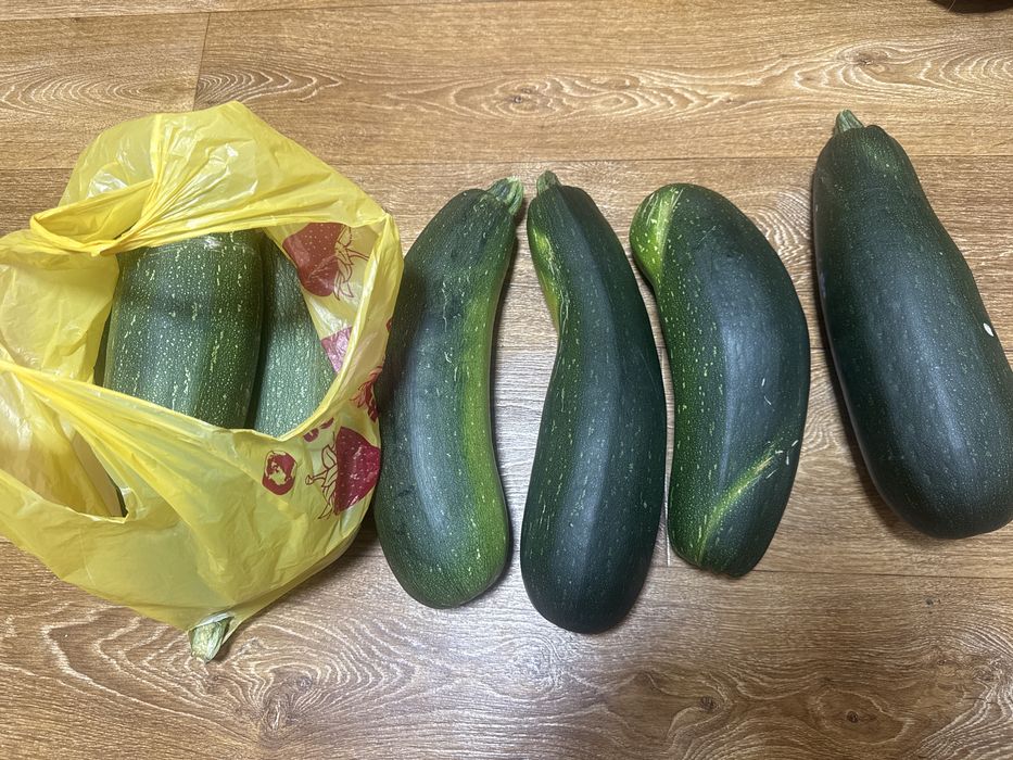 Продам домашние кабачки