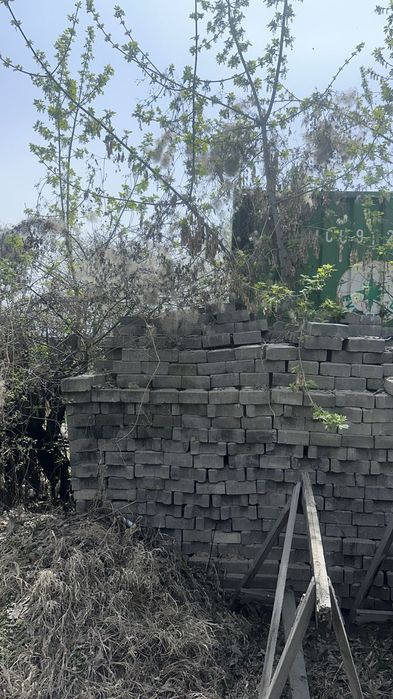 Бурчатка продаётся в хорошем состоянии