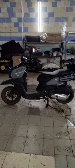 Tank 150cc 2024.
