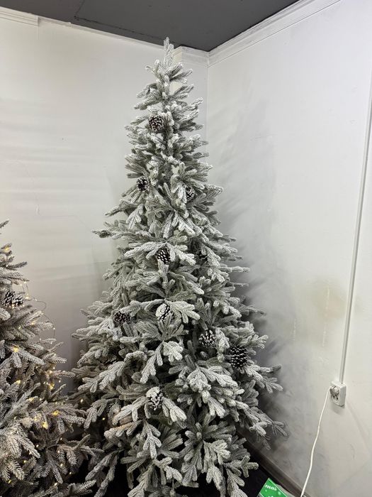 Ёлки Астана  доставка бесплатно