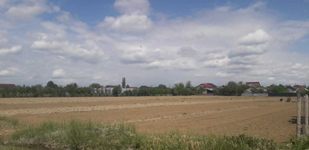 -Ocazie investitie imobiliara Buzau- Teren intravilan 1.14 ha, deschidere 81.5 m