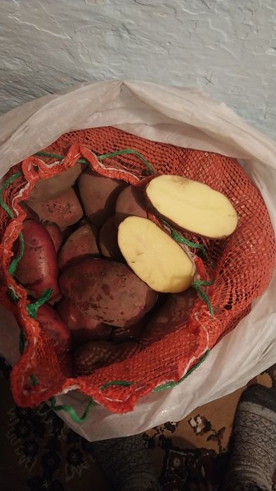 Продам картошку Кугалы