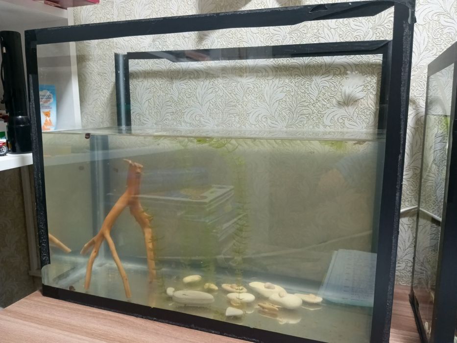 Продам аквариум, с мальками гуппи