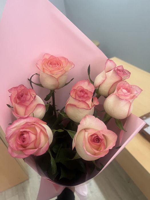 Цветы роза 7 штук )свежие