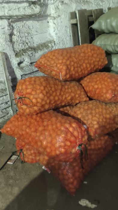 Картофель, картошка