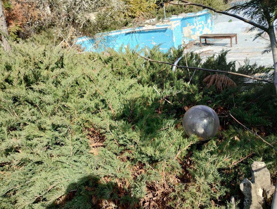 Продава се Къща в с. Рогачево, Област Добрич - 700 кв.м за 66 €/кв.м - Снимка #3