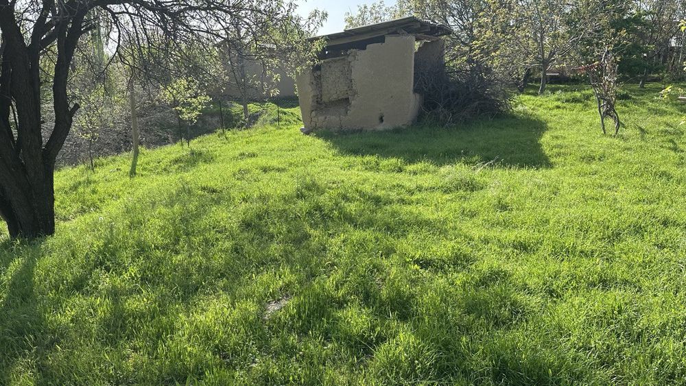 Parkent Tumani 5100$ sotix kelishamiz