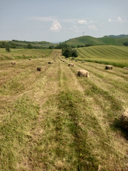 Vând baloți de fân