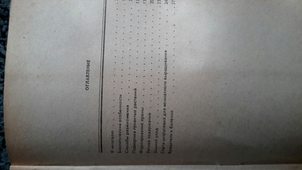 Цитрусовые в комнате