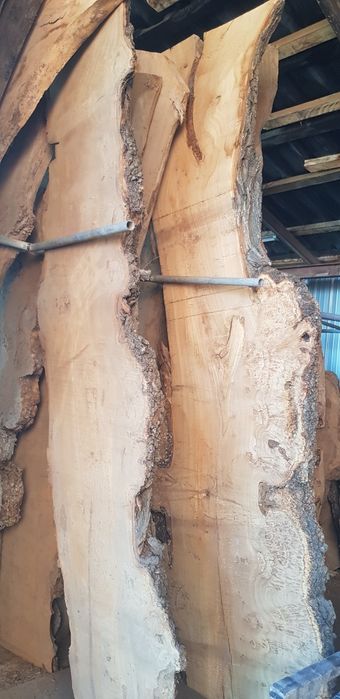 Слэбы каповые карагач