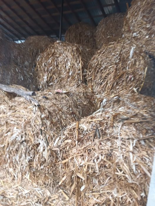 Vând baloți  coceni