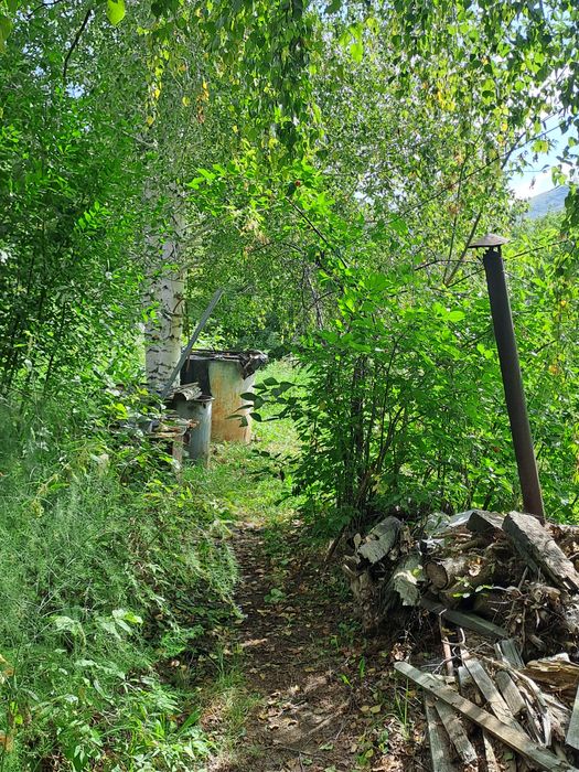 Продам пасеку дачу