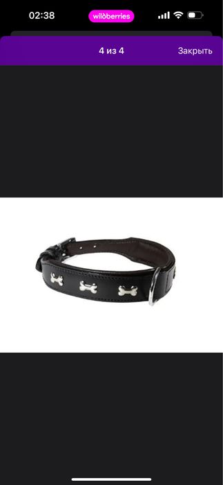 Пропал кот!! Кличка-Ричи