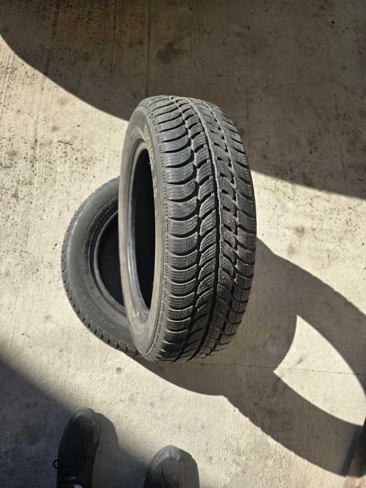 Сава ескимо с3 175.65.15