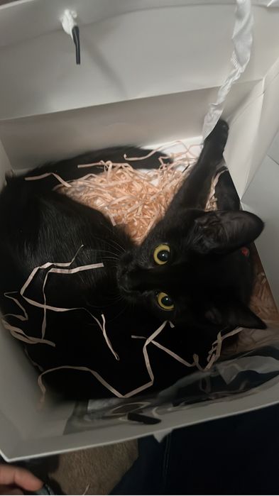 Малышка ищет себе родителей