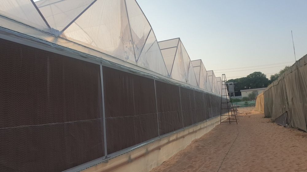 Охлаждения теплицы