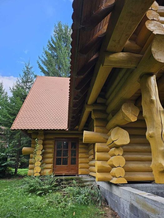 casa din busteni de vanzare