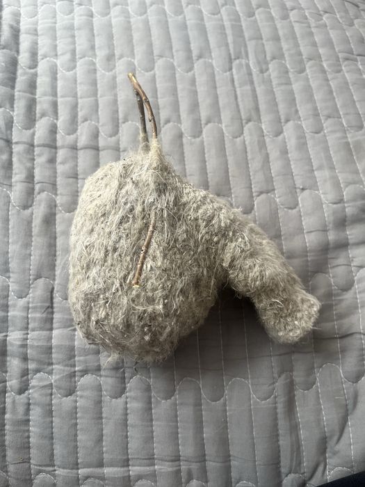 құрқылтайдың ұясы