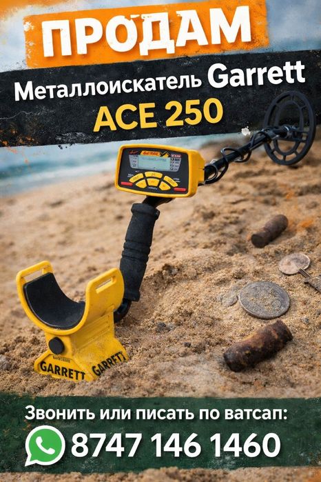 Металискатель Garrett ACE 250
