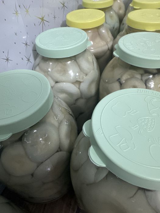 Продам грибы грузди