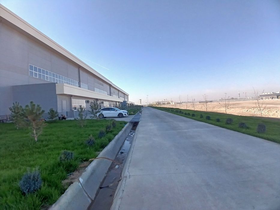 Gazon ekish xizmati.