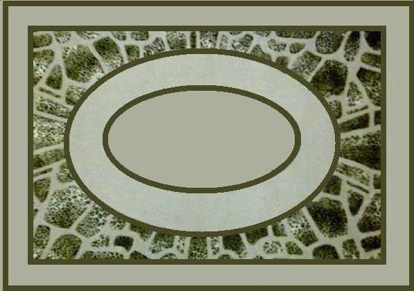 Ковёр гипоаллергенный (спец. заказ из натурального эко-сырья)