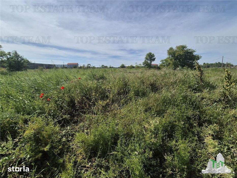 Teren intravilan zona Viile noi-km5