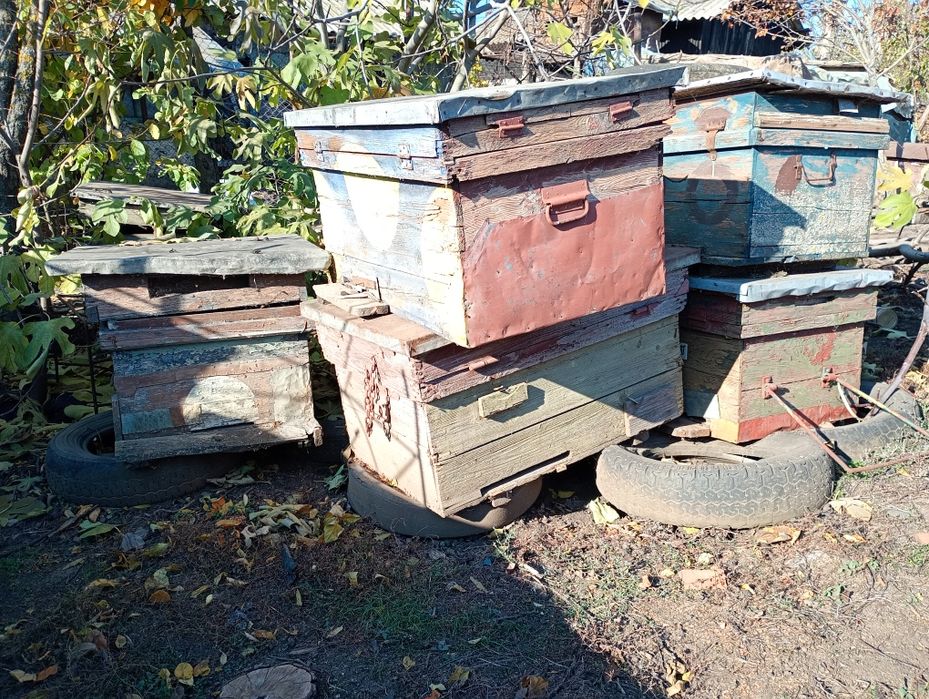 Vând (cutii goale ) stupii de albine