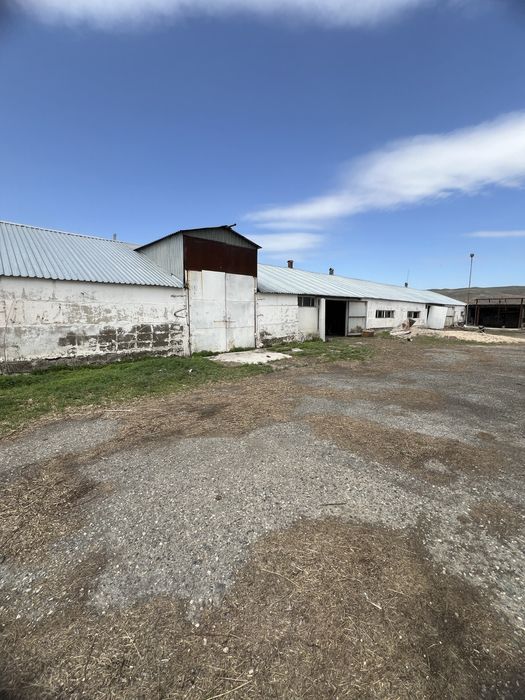 Мал бордақылау алаңы жалға беріледі