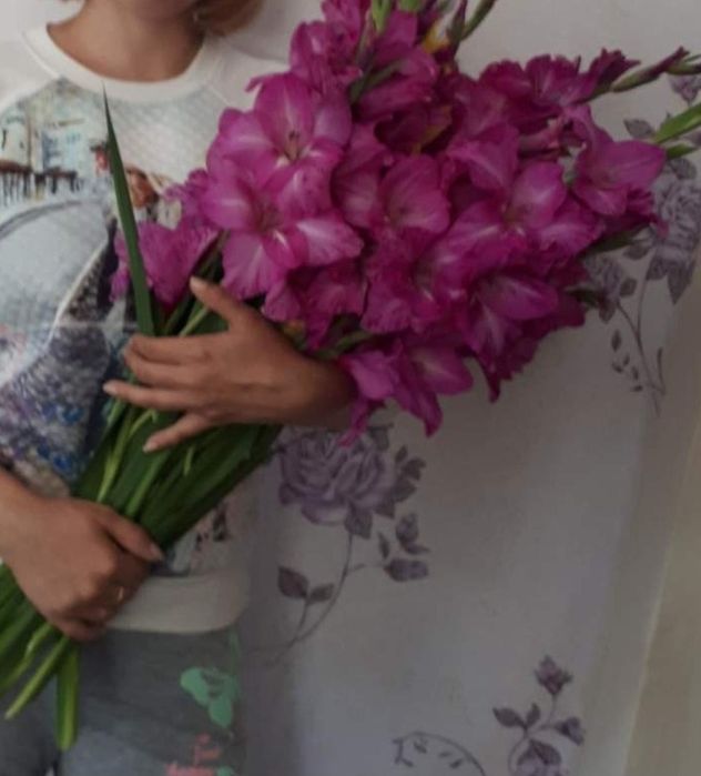 Луковицы Гладиоусов.