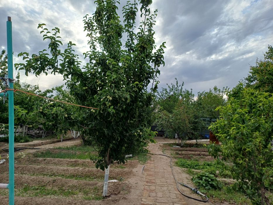 ПРОДАЕТСЯ ДОМ Курилкино  Рыбник