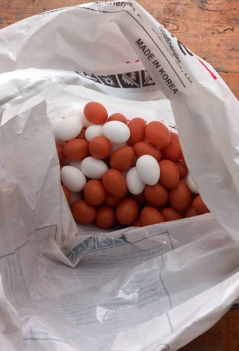 Предлагам хранилки, поилки и др.