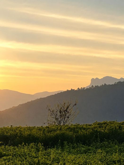 Casa la 2,5 km de Piatra Neamt