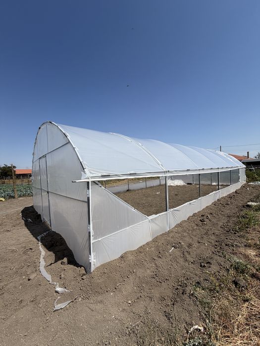 Solar legume solarii flori sera agricola
