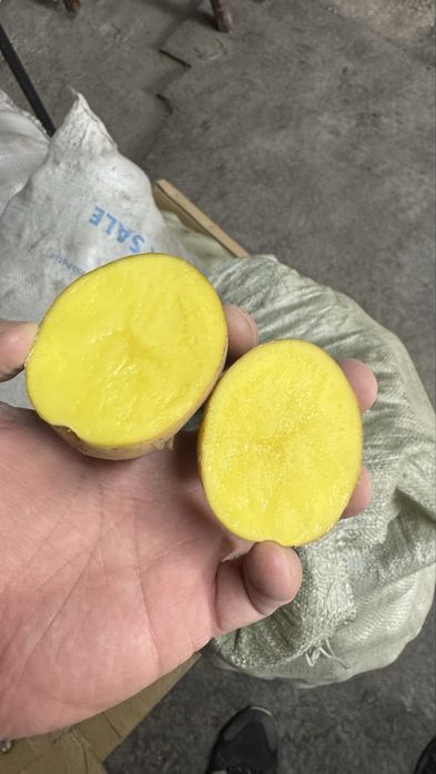 Картошка домашная с Есенгельди