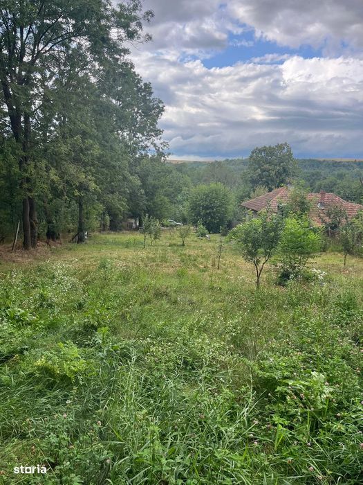Teren 6032 mp Intravilan, curent, apă, livadă