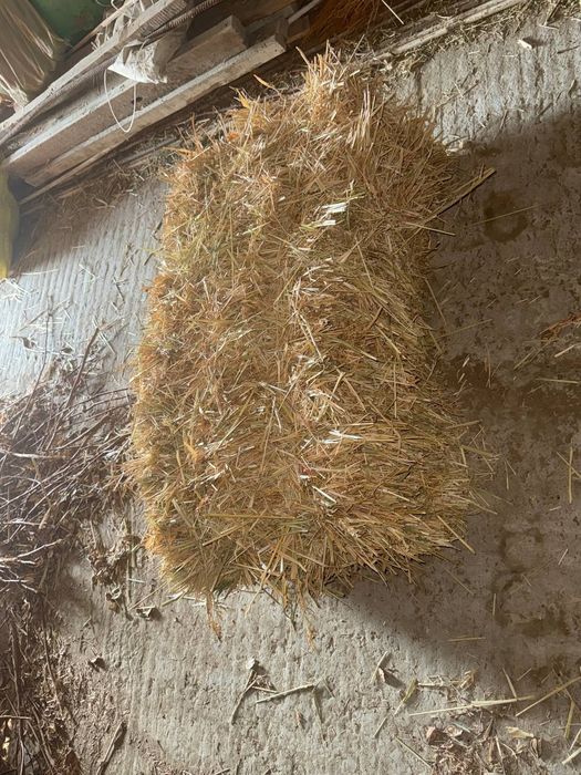 Сорго прес сотилади