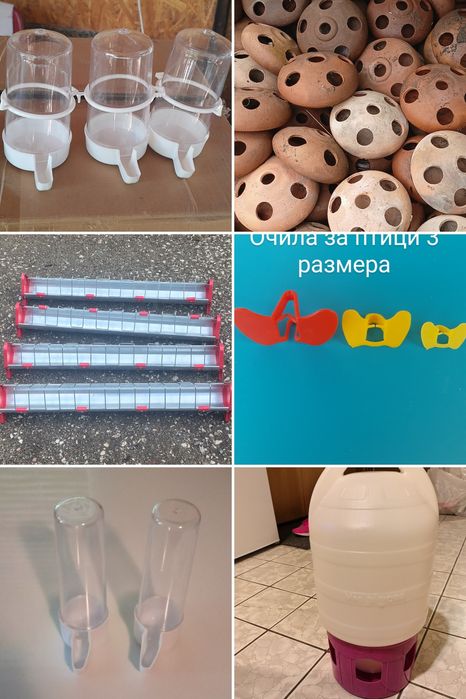 Аксесоари за гълъби,кокошки и други птици