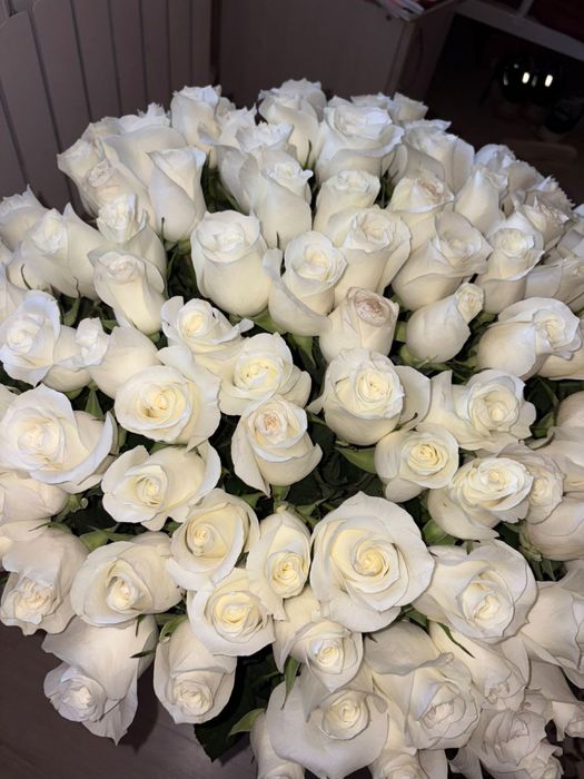 101 роза свежийй шымкент к