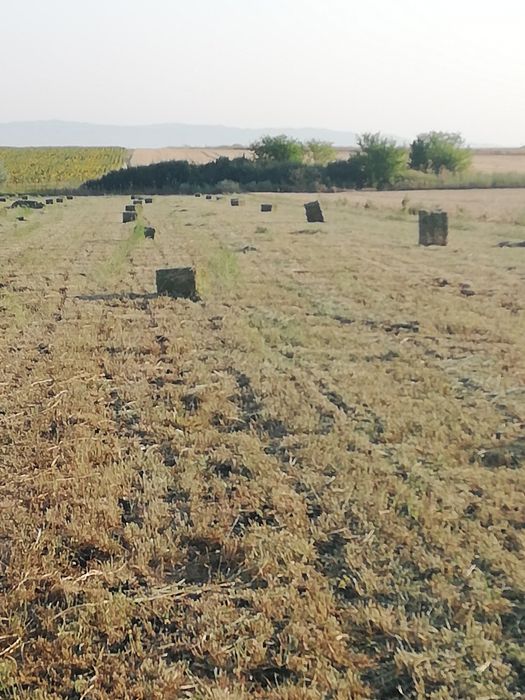 Продавам малки люцернени бали