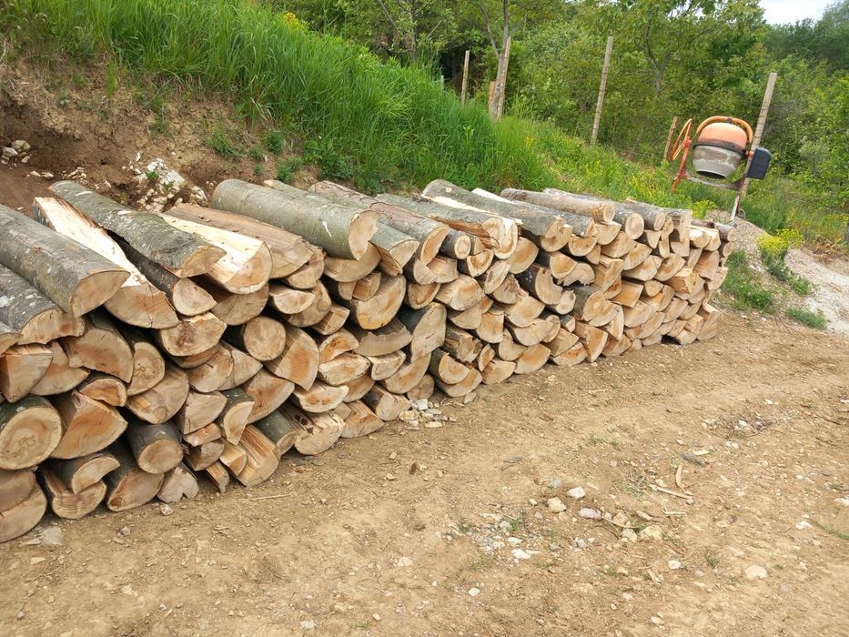 Lemne de foc. Transport gratuit.