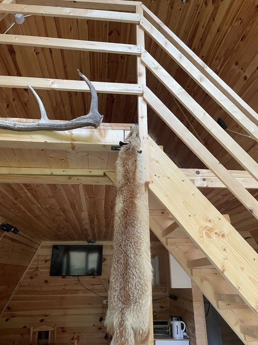 Cabană A-Frame de poveste în Poiana Horea – Munții Apuseni