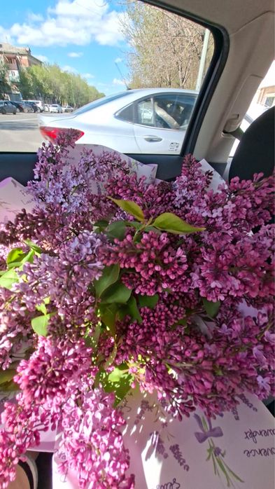 Сирень 1 ветка-400 тенге
