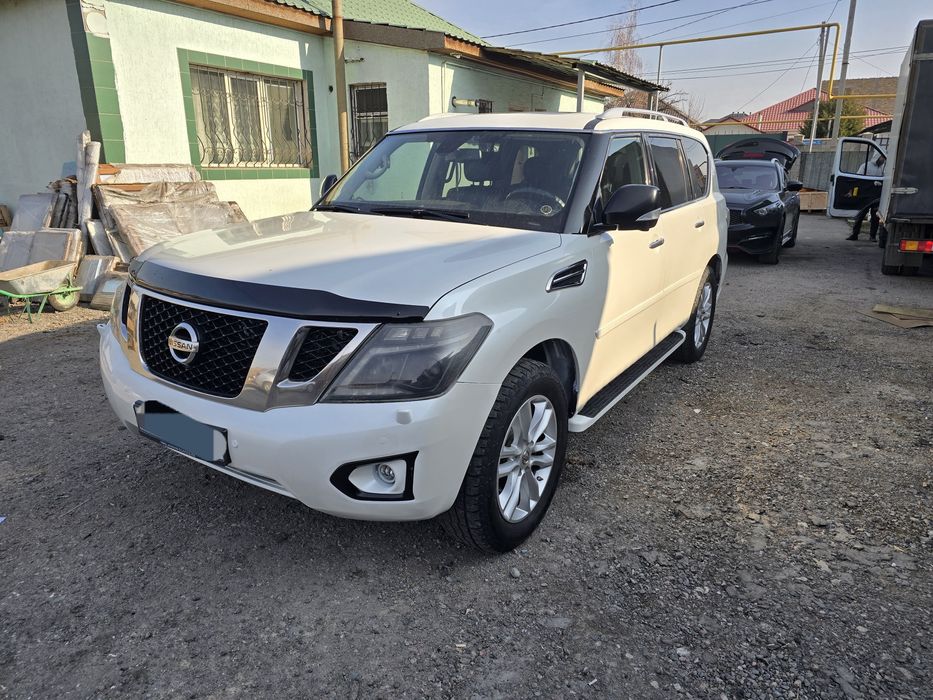 Костоправ, маляр низкие цены