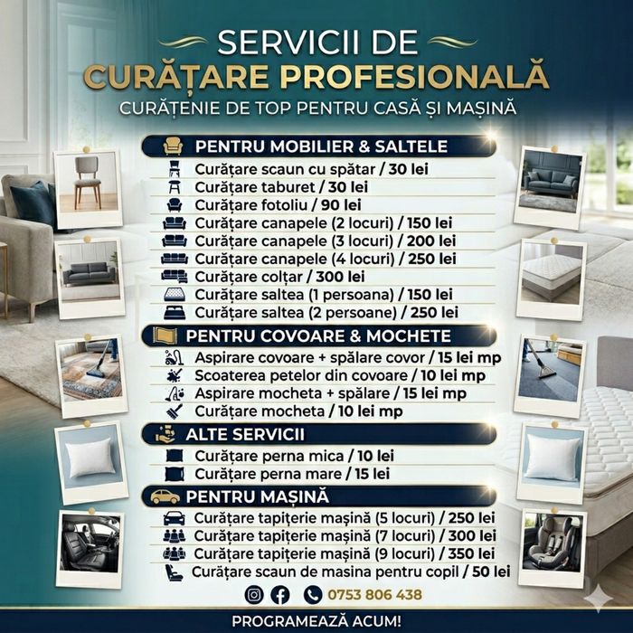 Curatare profesionala la domiciliu