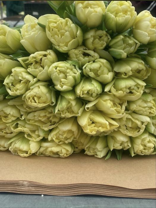 Тюльпаны на 8 марта