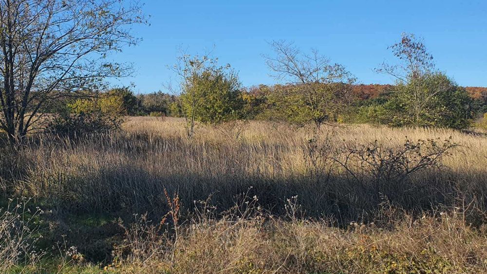 Нива 1 дка с. Горун на 200м от международен път Варна - Дуранкулак.