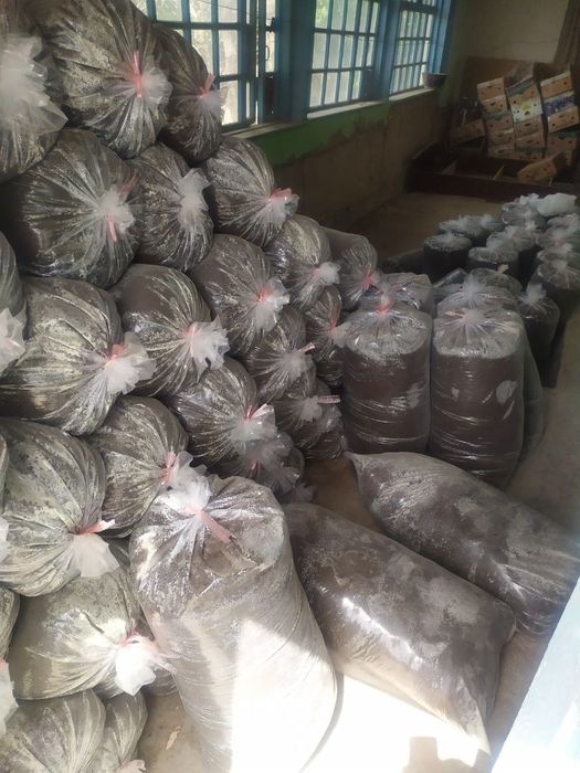 Биогомус сифатига жавоб берамиз