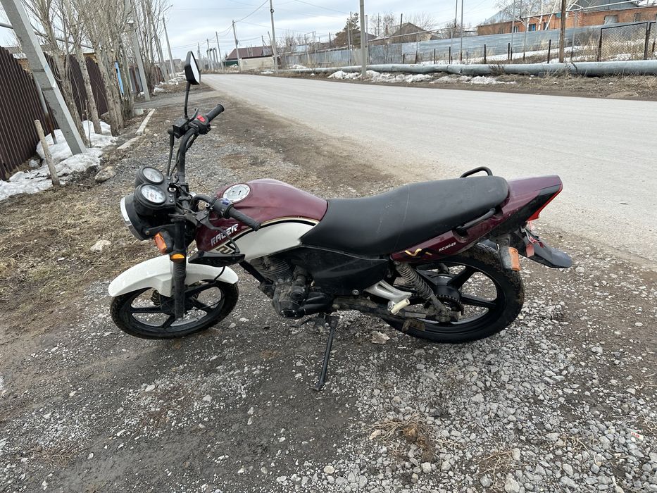 Пролам реисен тигр